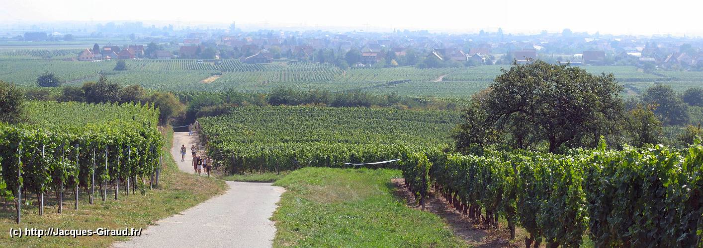 2005-09-04 11-21-37 Panorama.JPG